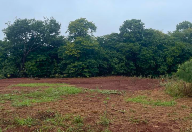 Terreno - Jardim Araucária